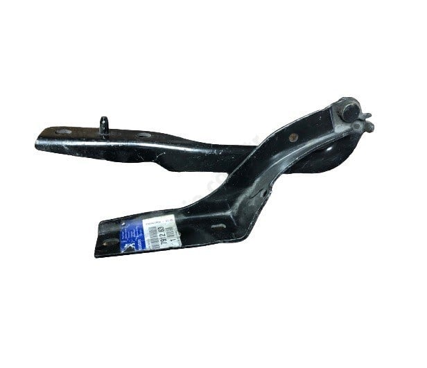 Kaput Menteşesi 307 Sol Psa 7912.63