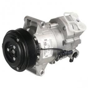 Klima Kompresörü B16dth Ast-J Gm 13414020