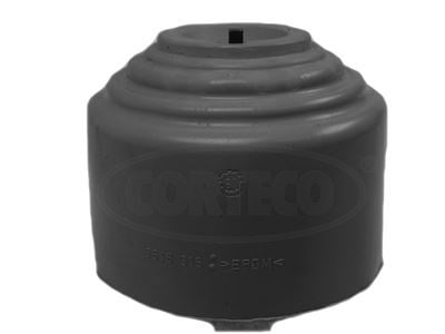 Motor Yataklama Corteco 80001083