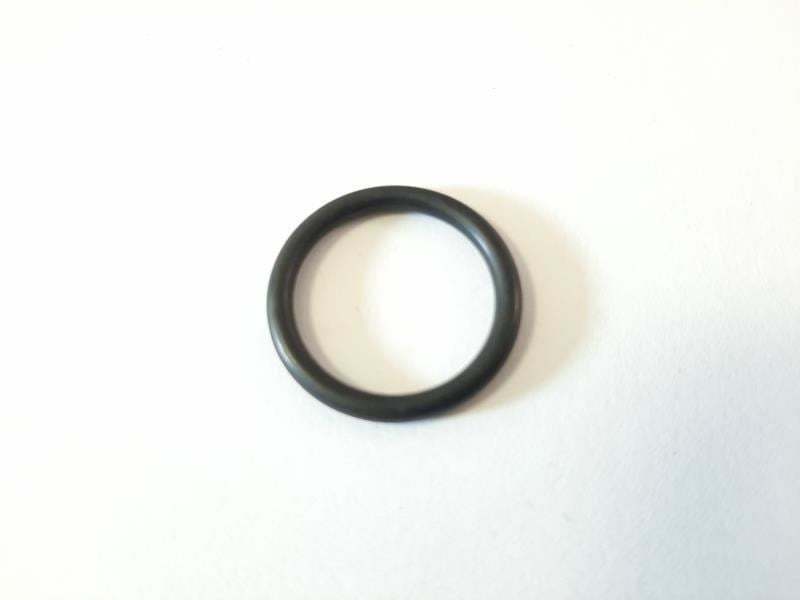 O-Ring Bosch 1900210116