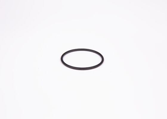 O-Ring Bosch 1900210145