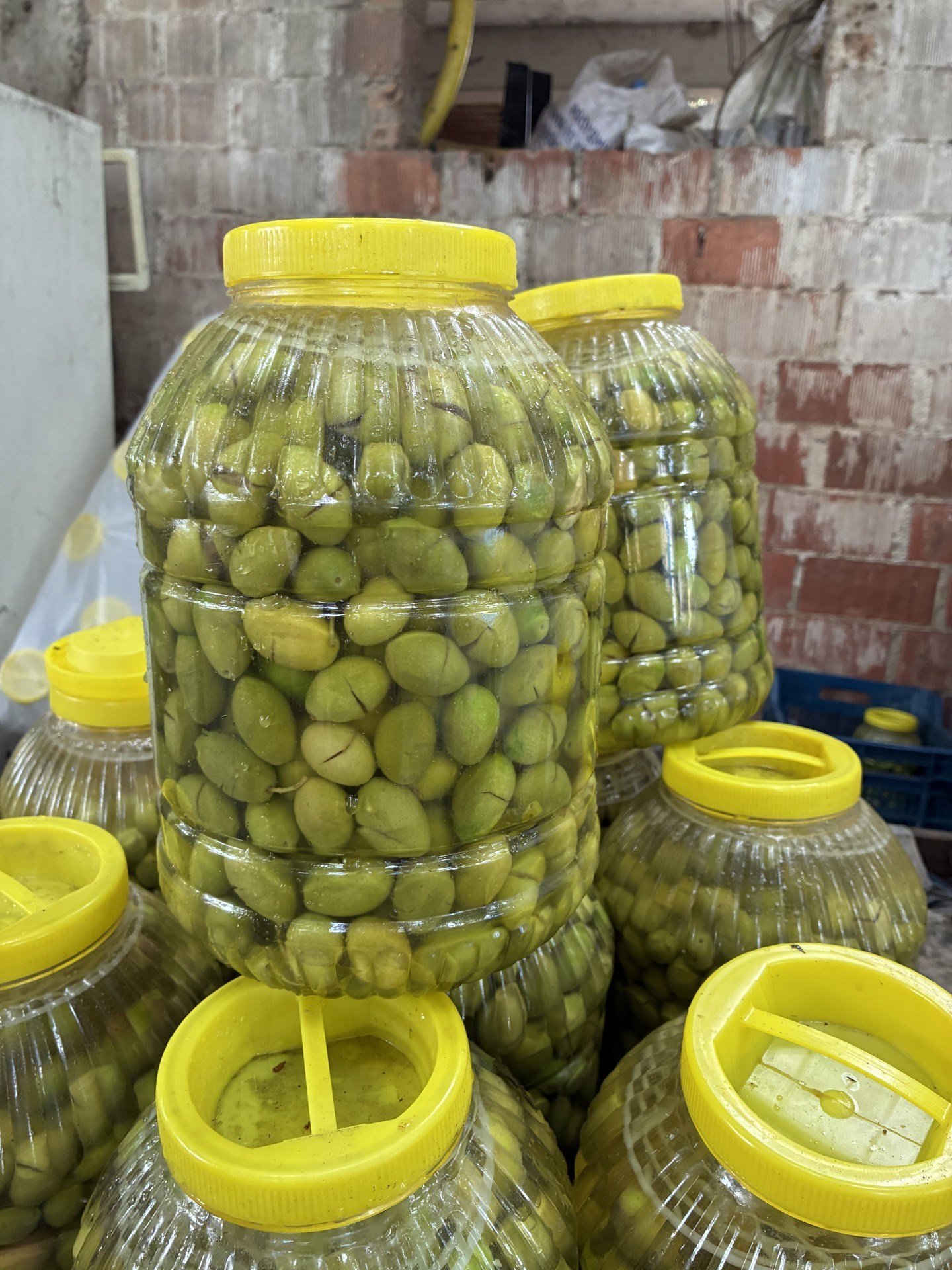 Çekişte Kırma Zeytin 1 / Kg