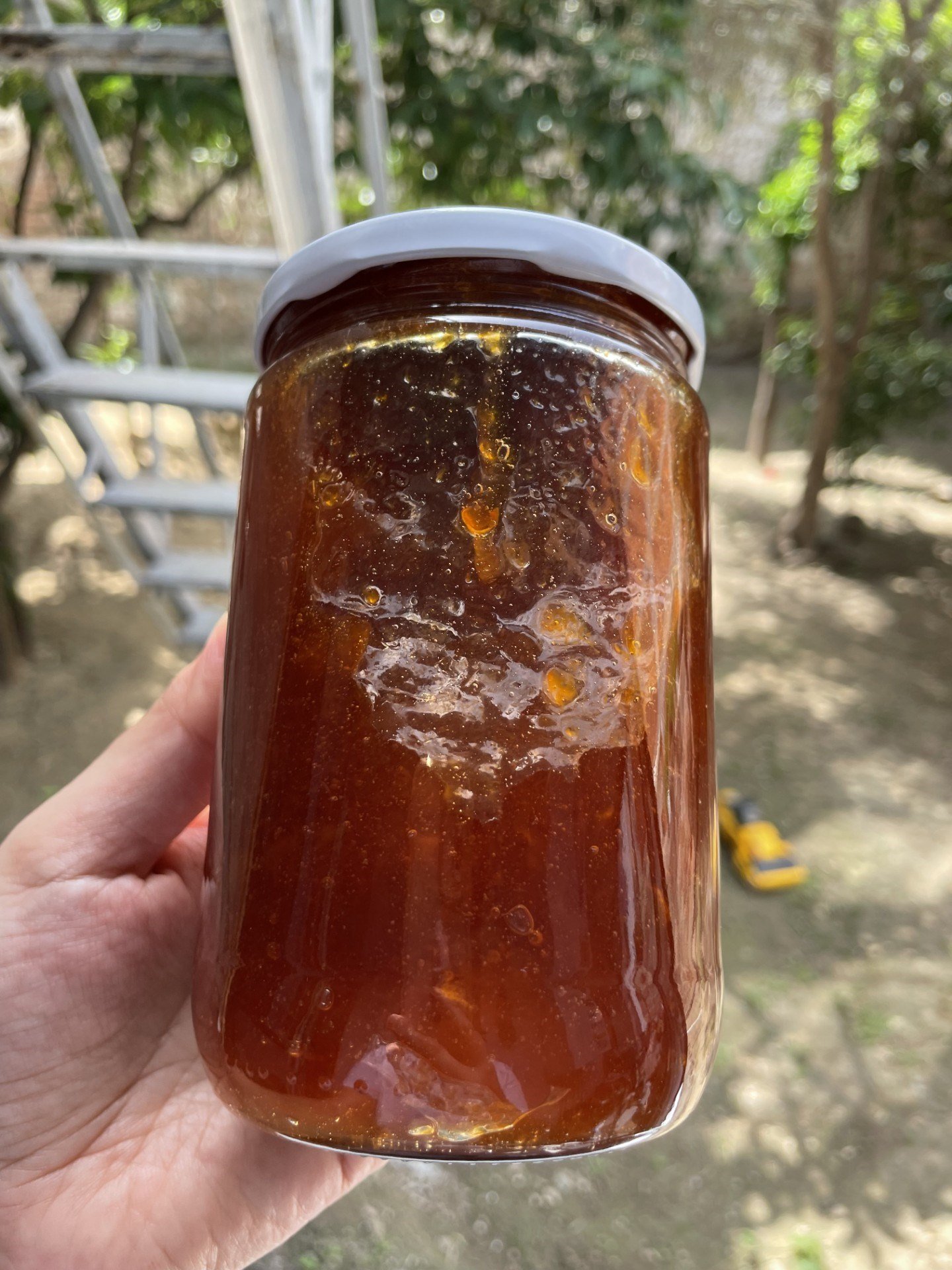 Kayısı Marmelatı 660cc