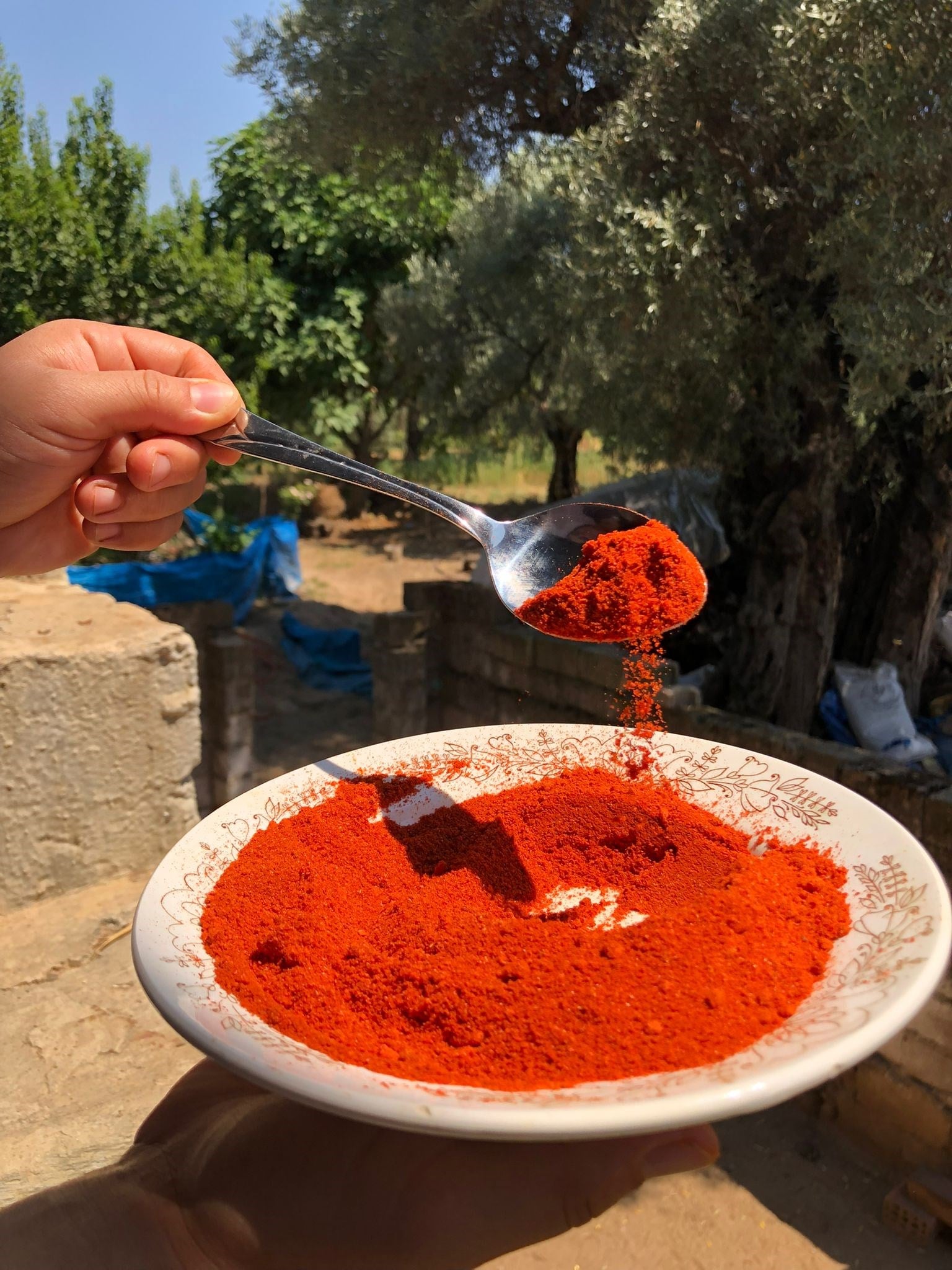 Kırmızı Toz Biber 500(gr)