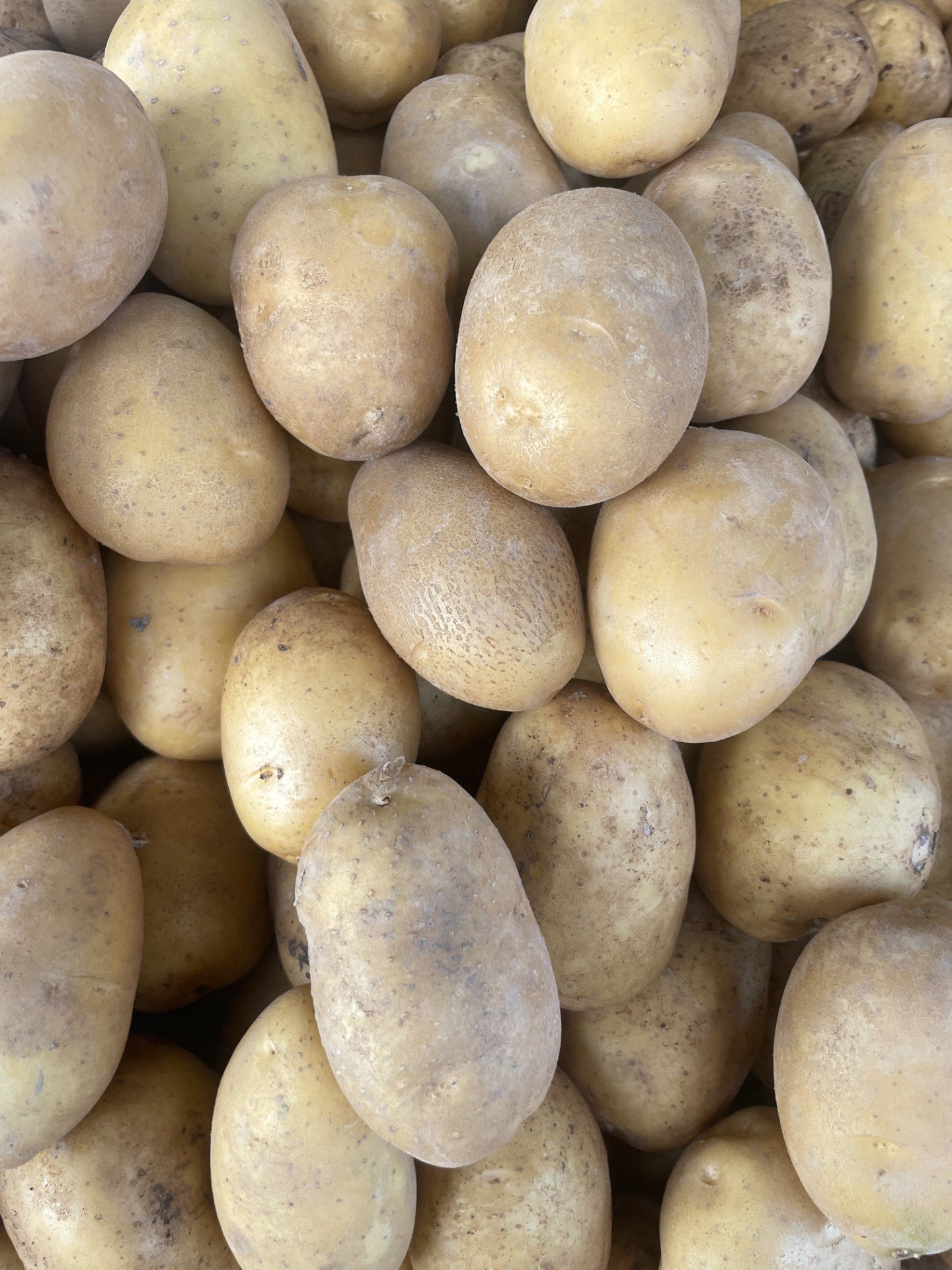 Köy Patates 1 / Kg