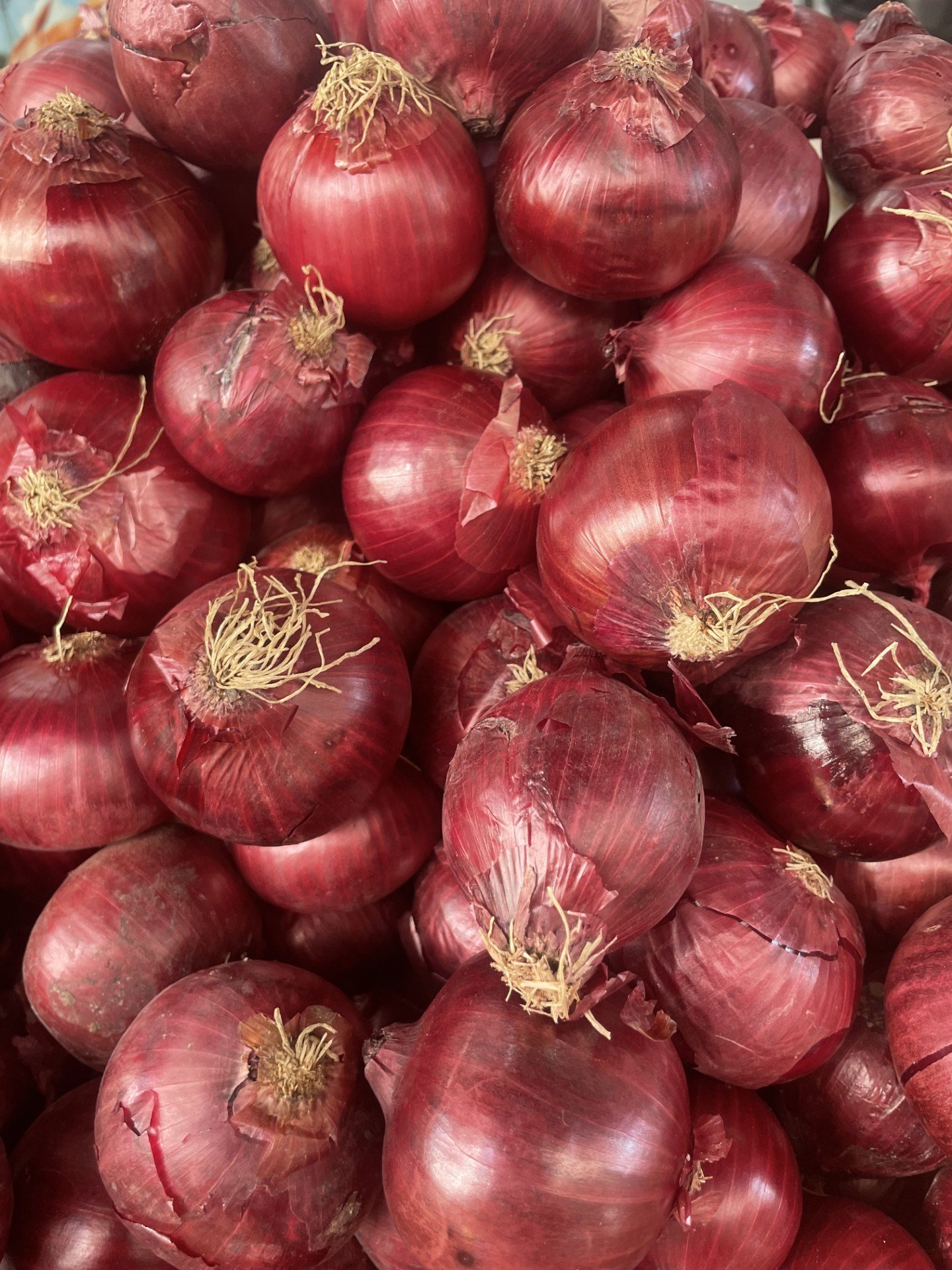 Mor Soğan 1 / Kg