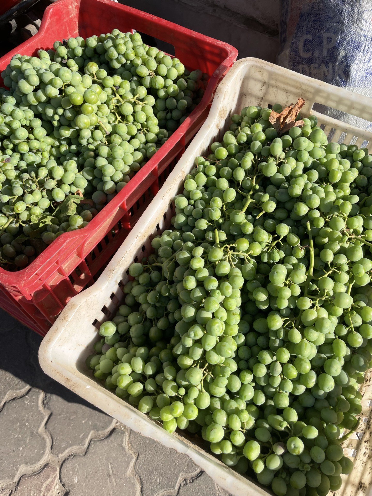 Taze Üzüm Koruk Ekşi 1 / Kg