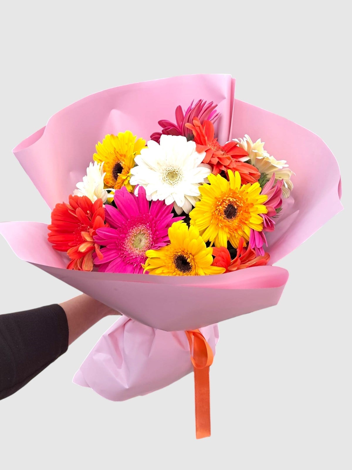 Gerbera Cenneti
