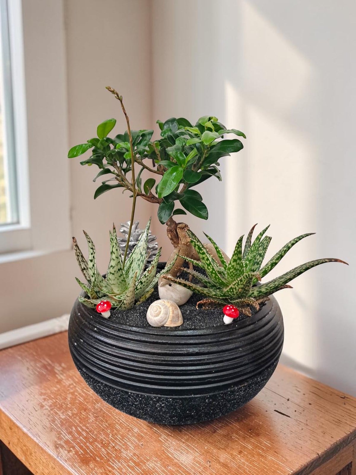 Marmaris Bonsai & Sukulent Aranjmanı | Dekoratif Mini Bitki Bahçesi