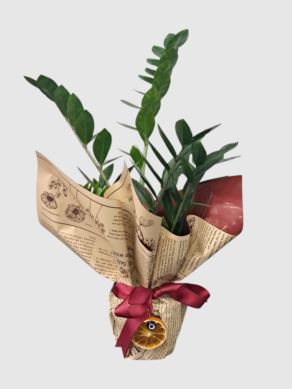 Marmaris Zamioculcas (ZZ Bitkisi) | Şık & Dayanıklı Salon Bitkisi