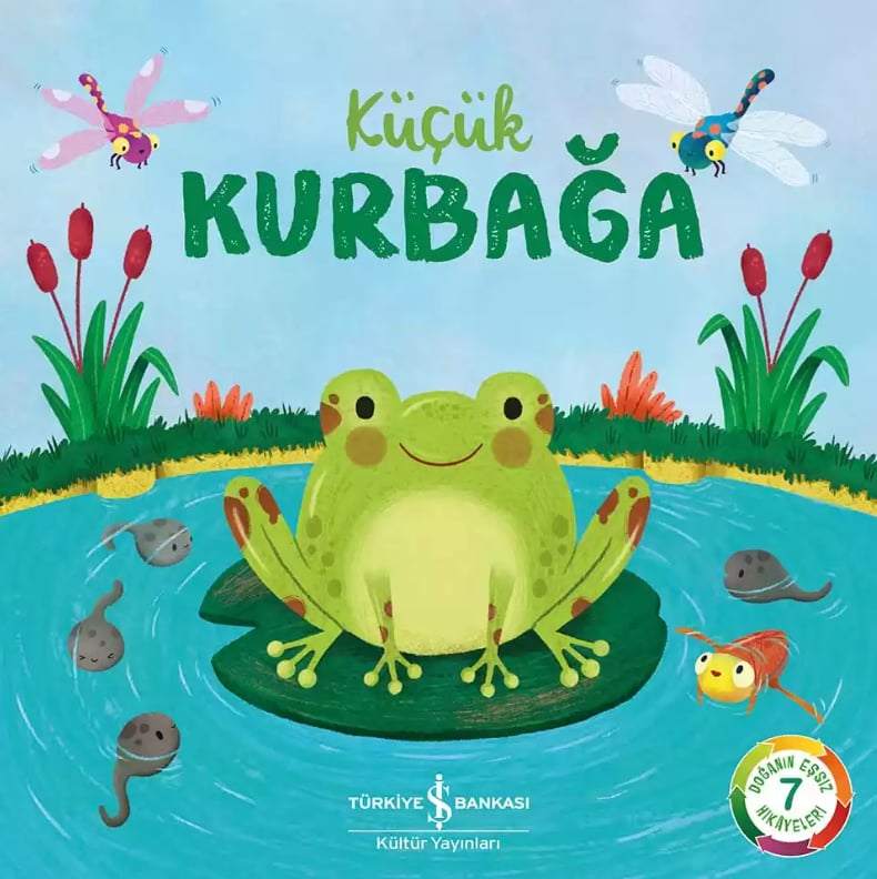 Küçük Kurbağa -Doğanın Eşsiz Hikâyeleri 7