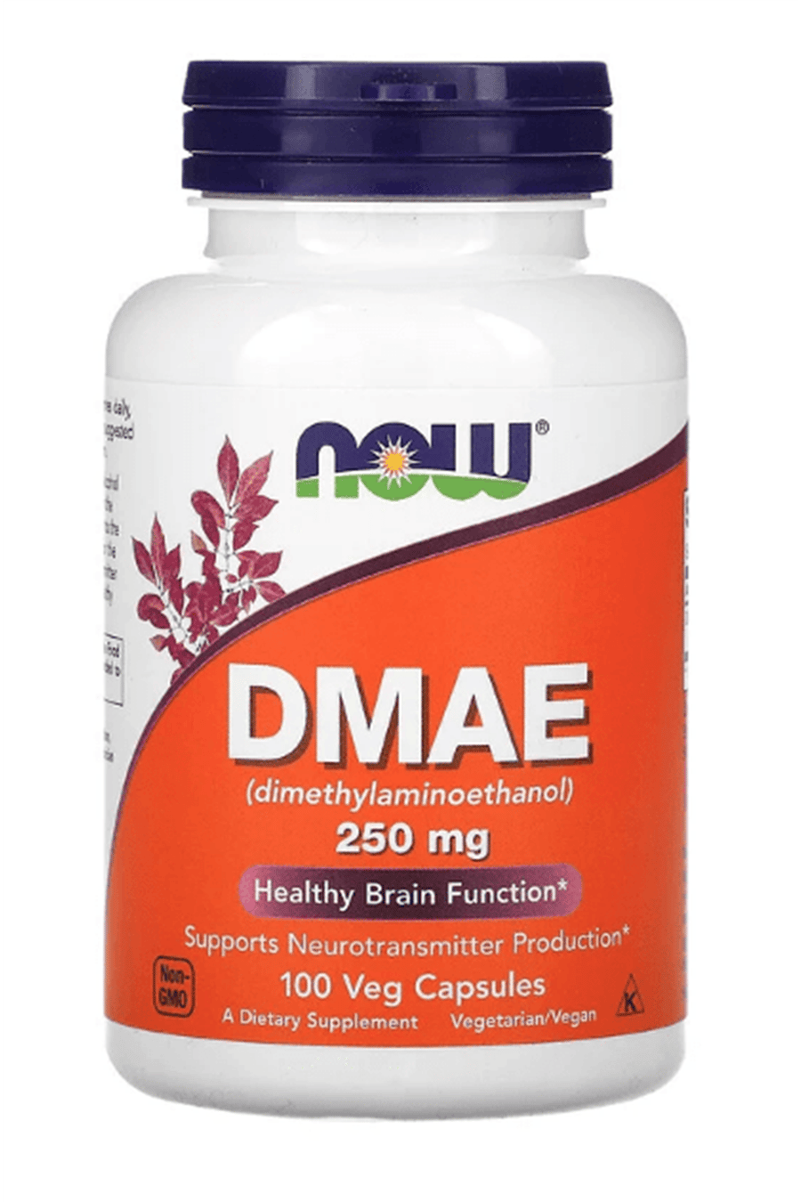 NOW Foods DMAE  250 mg  100 Veg Capsul.USA Menşei.30.