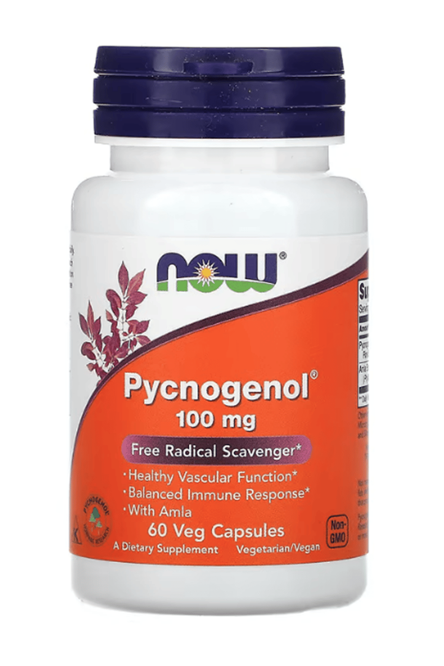 NOW Foods, Pycnogenol, 100 mg, 60 Veg Capsules.Abd Menşei.81.
