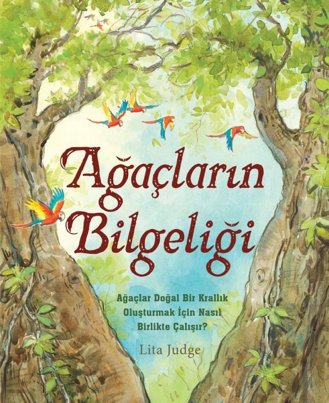 Ağaçların Bilgeliği
