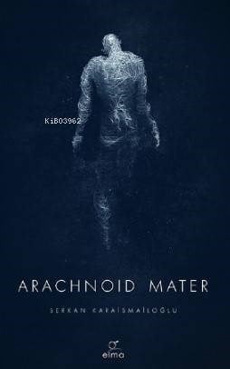 Arachnoid Mater