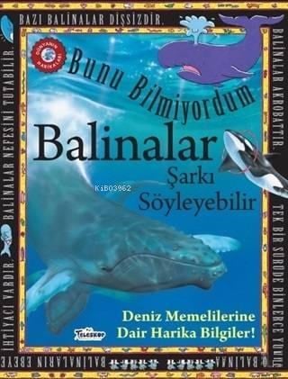Balinalar Şarkı Söyleyebilir - Bunu Bilmiyordum Deniz Memelilerine Dair Harika Bilgiler!