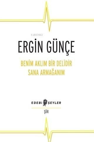 Benim Aklım Bir Delidir Sana Armağanım