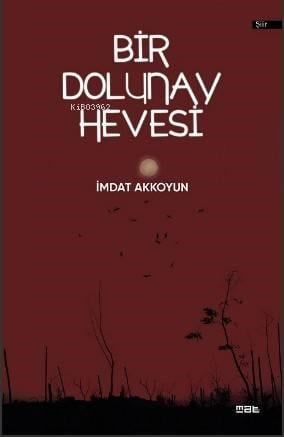Bir Dolunay Hevesi