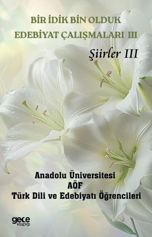 Bir İdik Bin Olduk Edebiyat Çalışmaları III;Şiirler III