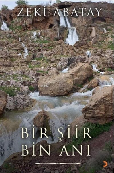 Bir Şiir Bin Anı
