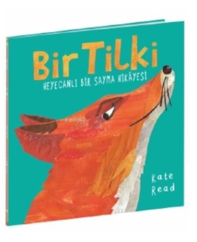 Bir Tilki
