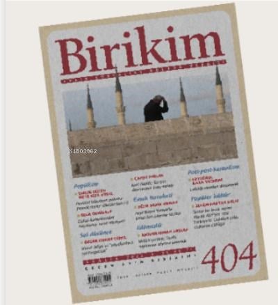 Birikim