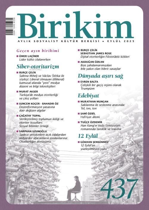 Birikim