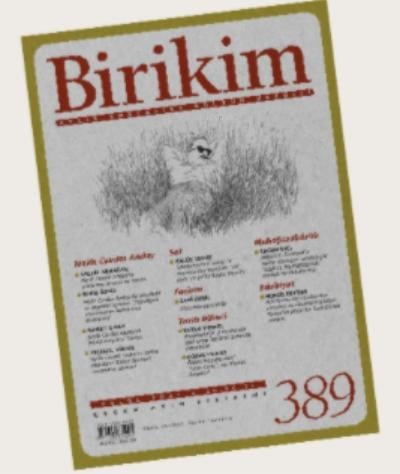 BİRİKİM sayı 389 / EYLÜL