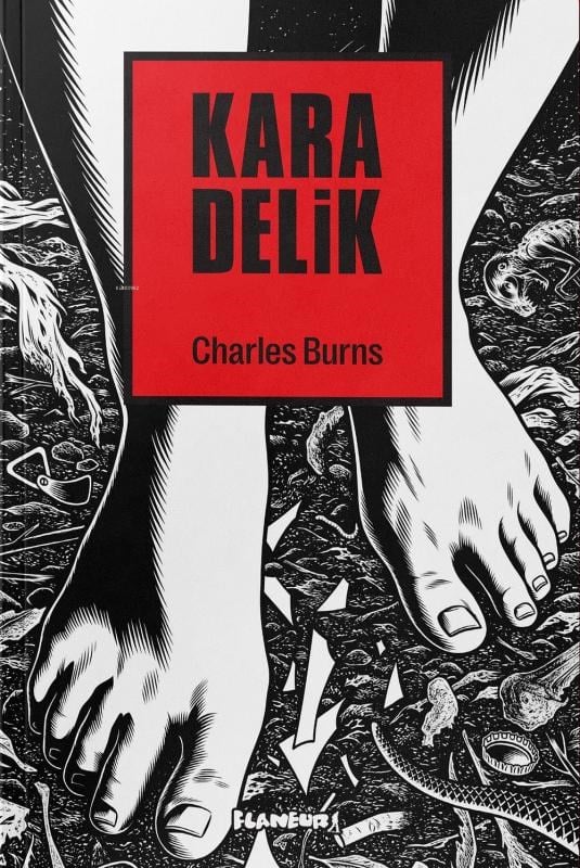 Black Hole;Kara Delik