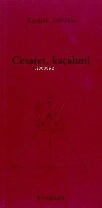 Cesaret, Kaçalım!