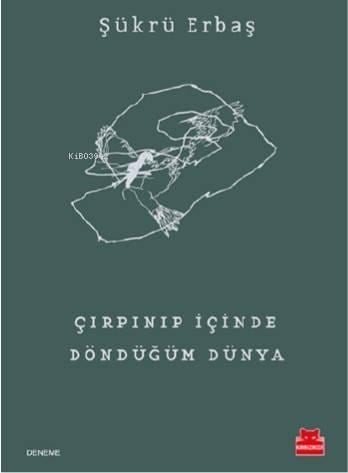 Çırpınıp İçinde Döndüğüm Dünya