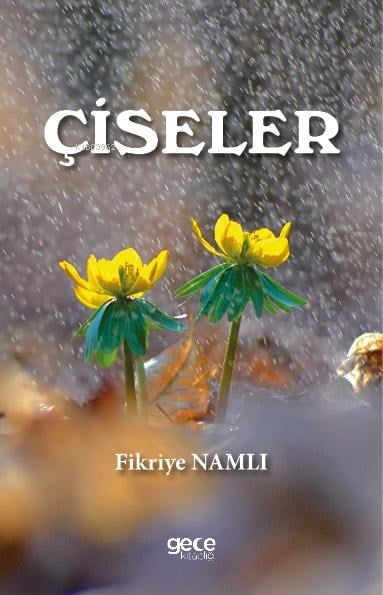 Çiseler