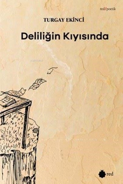 Deliliğin Kıyısında