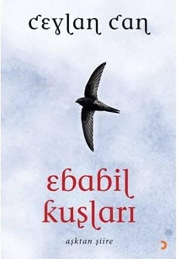 Ebabil Kuşları; Aşktan Şiire