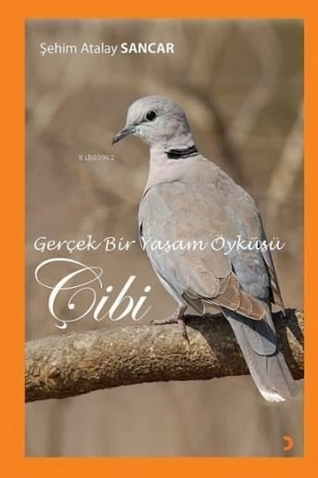 Gerçek Bir Yaşam Öyküsü Çibi