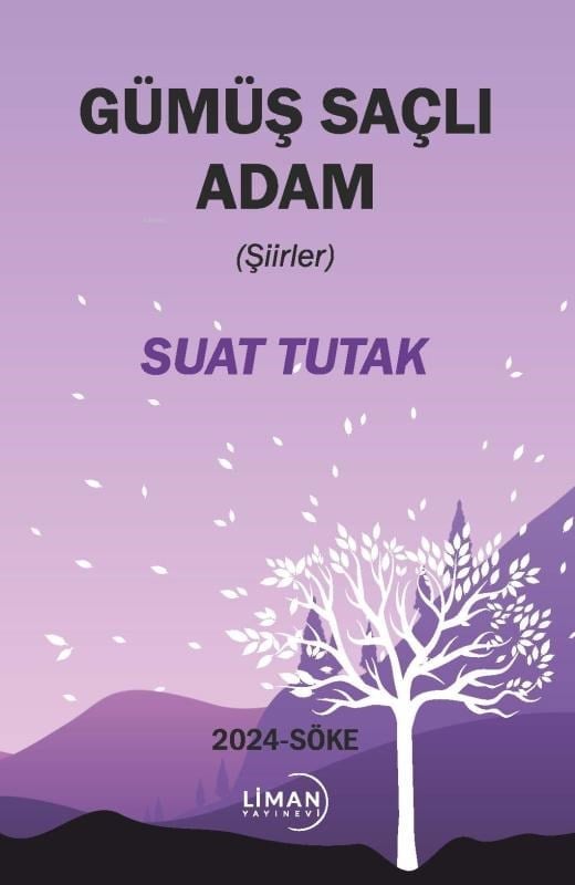 Gümüş Saçlı Adam