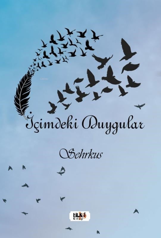 İçimdeki Duygular