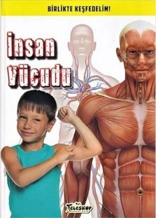 İnsan Vücudu