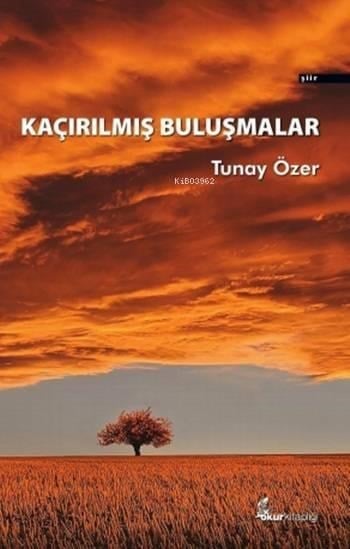 Kaçırılmış Buluşmalar