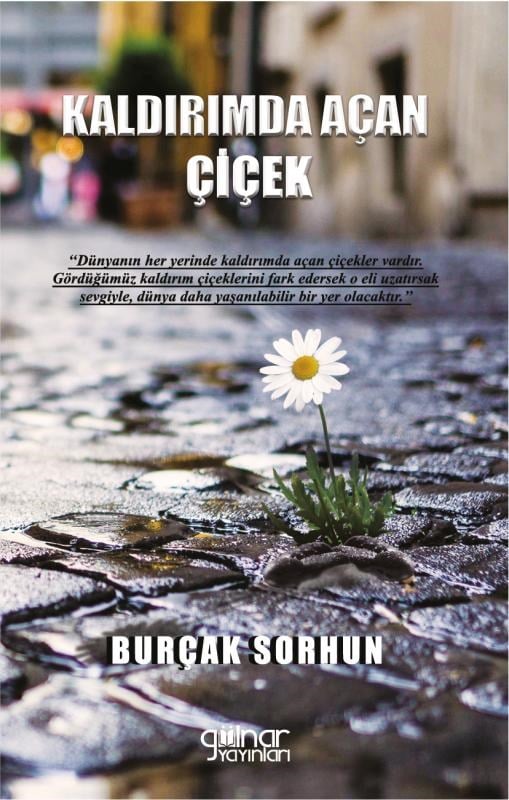 Kaldırımda Açan Çiçek