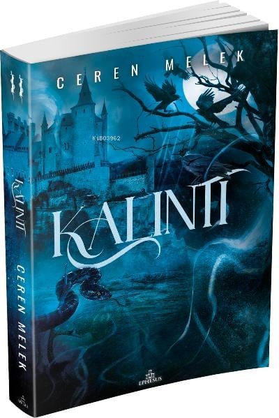 Kalıntı -2