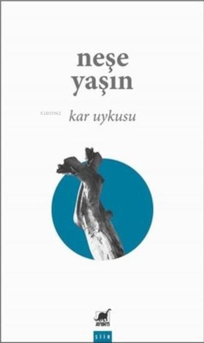 Kar Uykusu