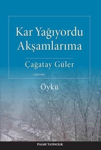 Kar Yağıyordu Akşamlarıma
