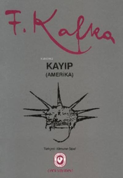 Kayıp (Amerika)