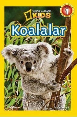 Koalalar-Seviye 1
