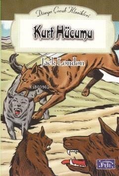 Kurt Hücumu