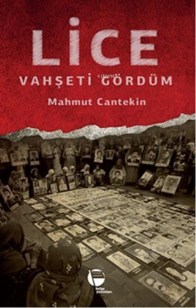 Lice Vahşeti Gördüm