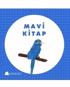 Mavi Kitap