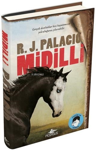 Midilli (Ciltli);Gerçek Dostluklar Bizi Hayatımızın Yolculuğuna Çıkarabilir