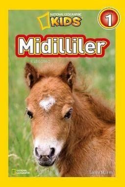 Midilliler-Seviye 1